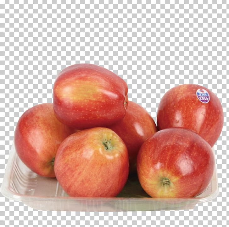 Apple Fruit Auglis Food PNG, Clipart, Apple, Apple Fruit, Apple Logo, Apple Tree, Auglis Free PNG Download