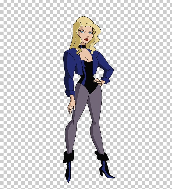 Black Canary Justice League Unlimited Green Arrow Star Sapphire Hawkgirl PNG, Clipart, Anime, Arm, Art, Cartoon, Comics Free PNG Download