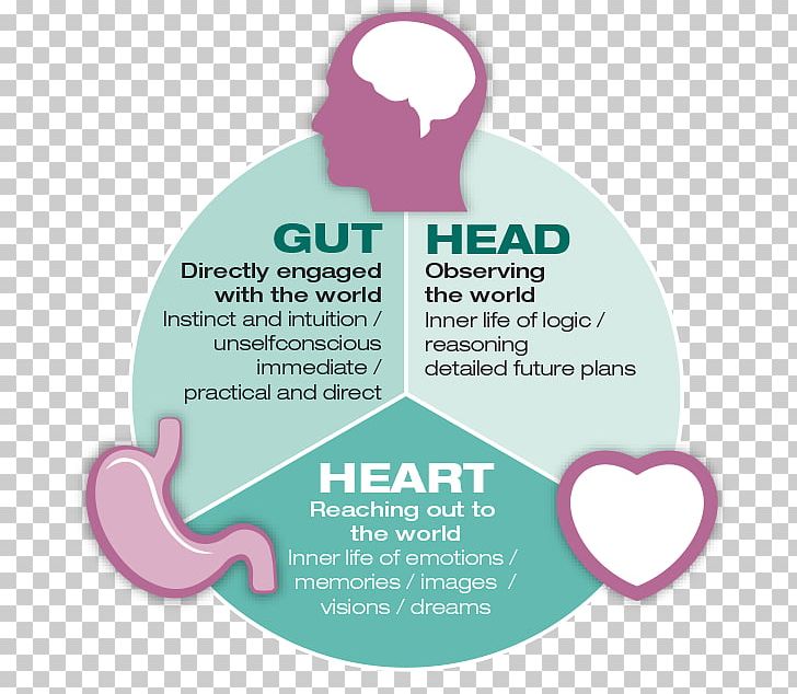 Instinct Gastrointestinal Tract Gut–brain Axis Neuroscience Psychological Stress PNG, Clipart, Attention, Brain, Brand, Concept, Consciousness Free PNG Download