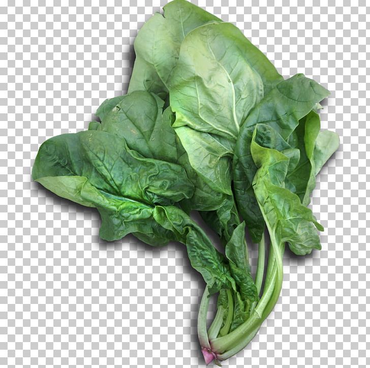 Romaine Lettuce Cabbage Chinese Broccoli Spinach Vegetable PNG, Clipart, Brassica Oleracea, Cabbage, Chard, Chinese, Chinese Broccoli Free PNG Download