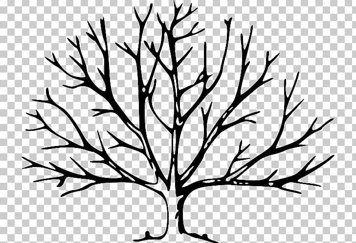Tree Leaf Branch Oak PNG, Clipart, Artwork, Black And White, Branch, Color, Coloring Book Free PNG Download