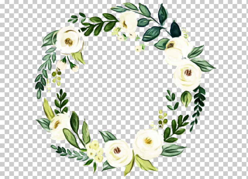 Floral Design PNG, Clipart, Biology, Cut Flowers, Flora, Floral Design, Flower Free PNG Download