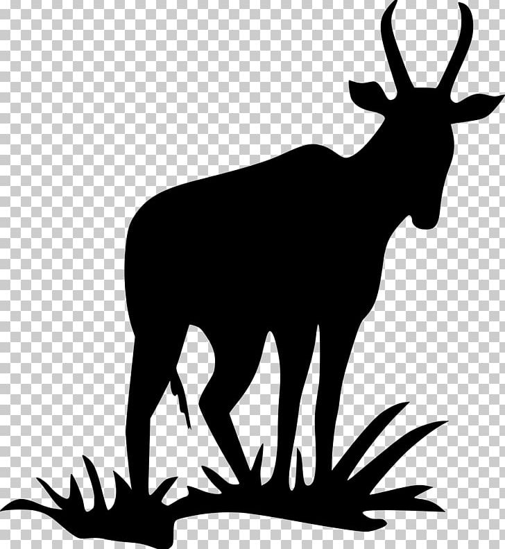Antelope Pronghorn Deer Impala Silhouette PNG, Clipart, Adda, Animals, Antelope, Antler, Black And White Free PNG Download