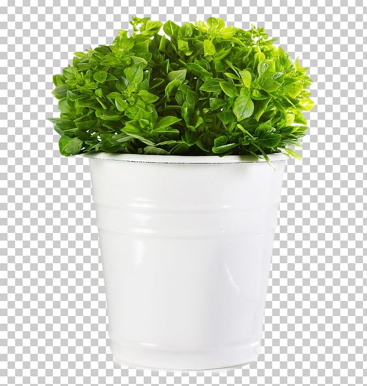 Basil Stock Photography Crock Flowerpot PNG, Clipart, Basil, Casserole, Crock, Depositphotos, Feslegen Free PNG Download