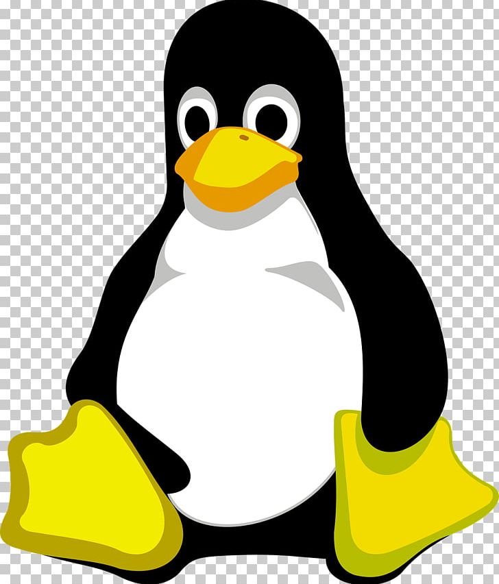 Linux Portable Network Graphics Tux Free Software PNG, Clipart, Arch Linux, Artwork, Beak, Bird, Computer Software Free PNG Download