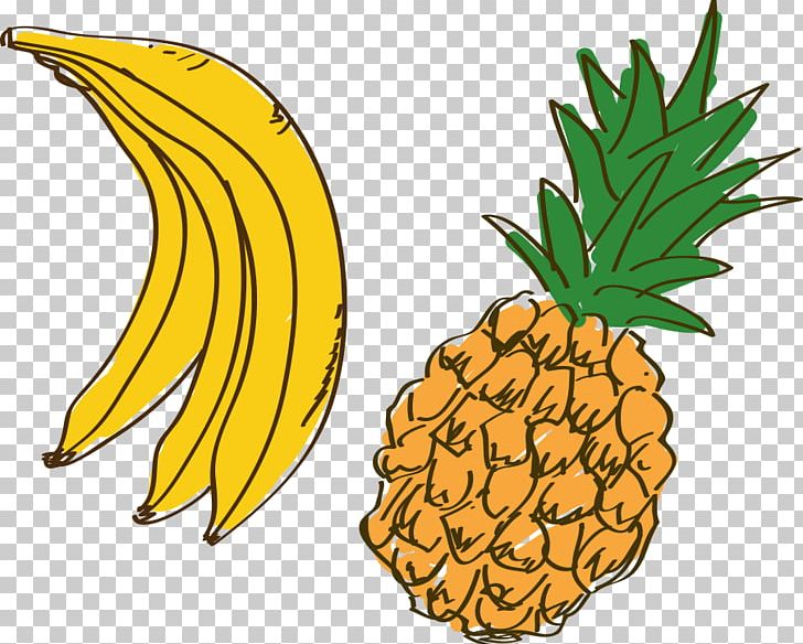Pineapple Fruit Coloring Book Cartoon Auglis PNG, Clipart, Auglis, Balloon Cartoon, Boy Cartoon, Bromeliaceae, Cartoon Free PNG Download