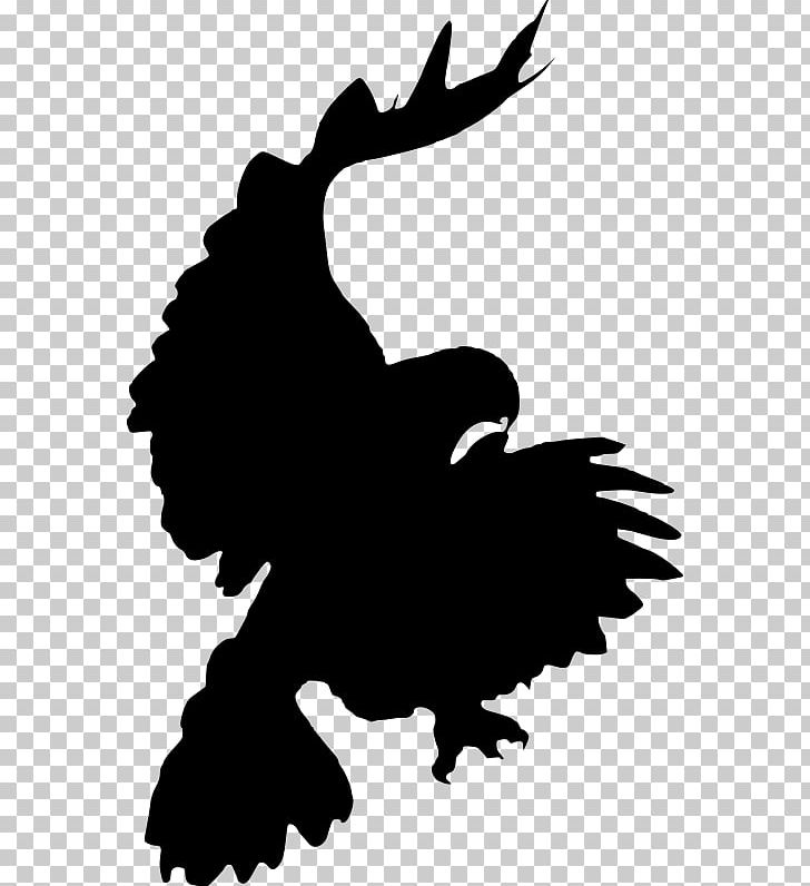 Bird Red-tailed Hawk Silhouette PNG, Clipart,  Free PNG Download