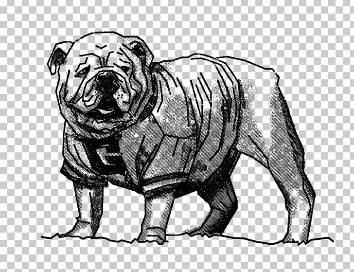 Georgia Bulldogs Football UGA Arch Dog Breed PNG, Clipart, Bulldog, Carnivoran, Dog Breed Group, Dog Like Mammal, Illustrator Free PNG Download