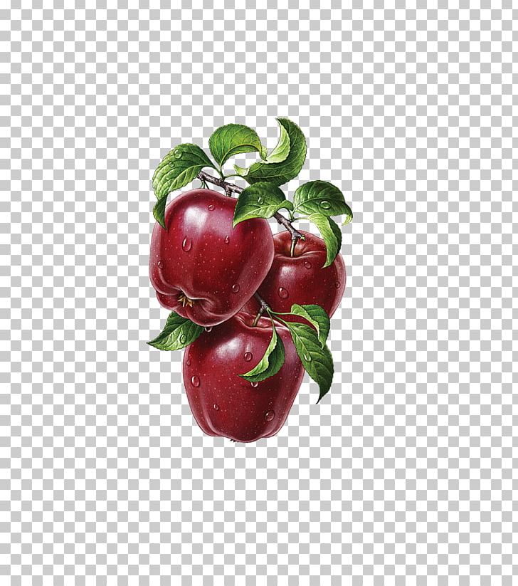 Illustrator Graphic Design Fruit Behance Illustration PNG, Clipart, Acerola, Acerola Family, Apple, Art, Berry Free PNG Download
