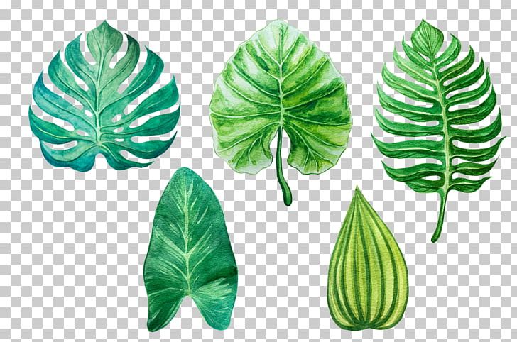 Leaf Watercolor Painting Drawing PNG, Clipart, Art, Art Museum, Drawing, Image Tracing, Leaf Free PNG Download