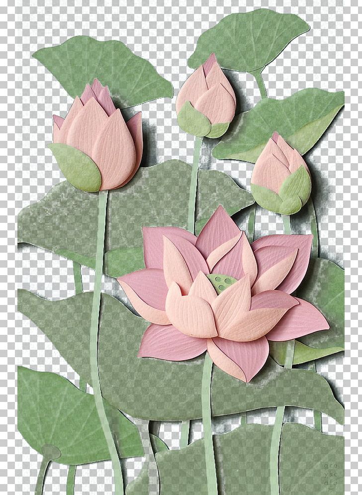 Nelumbo Nucifera Gratis Flower PNG, Clipart, Aquatic Plant, Cards, Creative, Download, Euclidean Vector Free PNG Download