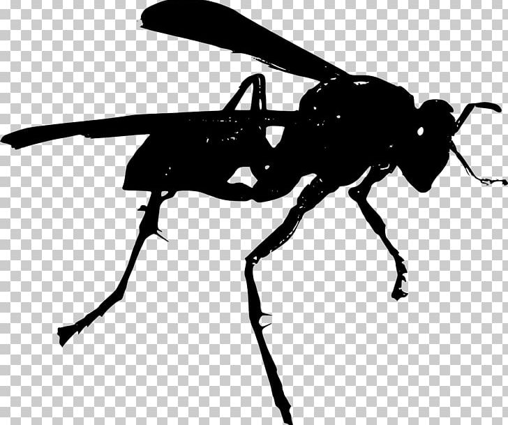 Bee Hornet Wasp PNG, Clipart, Arthropod, Bee, Black And White, Fly, Great Black Wasp Free PNG Download