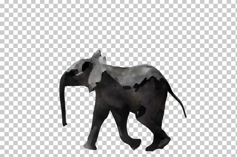 Indian Elephant PNG, Clipart, African Bush Elephant, African Elephants, Drawing, Elephant, Giraffe Free PNG Download