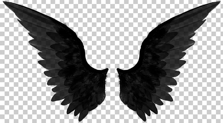 Castiel Dean Winchester Sam Winchester Angel T-shirt PNG, Clipart, Black And White, Black Wings Png, Butterfly, Castiel, Computer Icons Free PNG Download