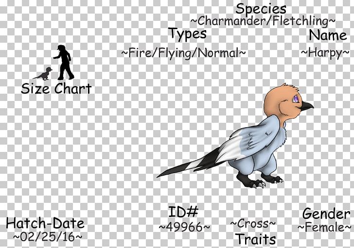 Beak Water Bird Goose Flightless Bird PNG, Clipart, Anatidae, Animals, Area, Beak, Bird Free PNG Download