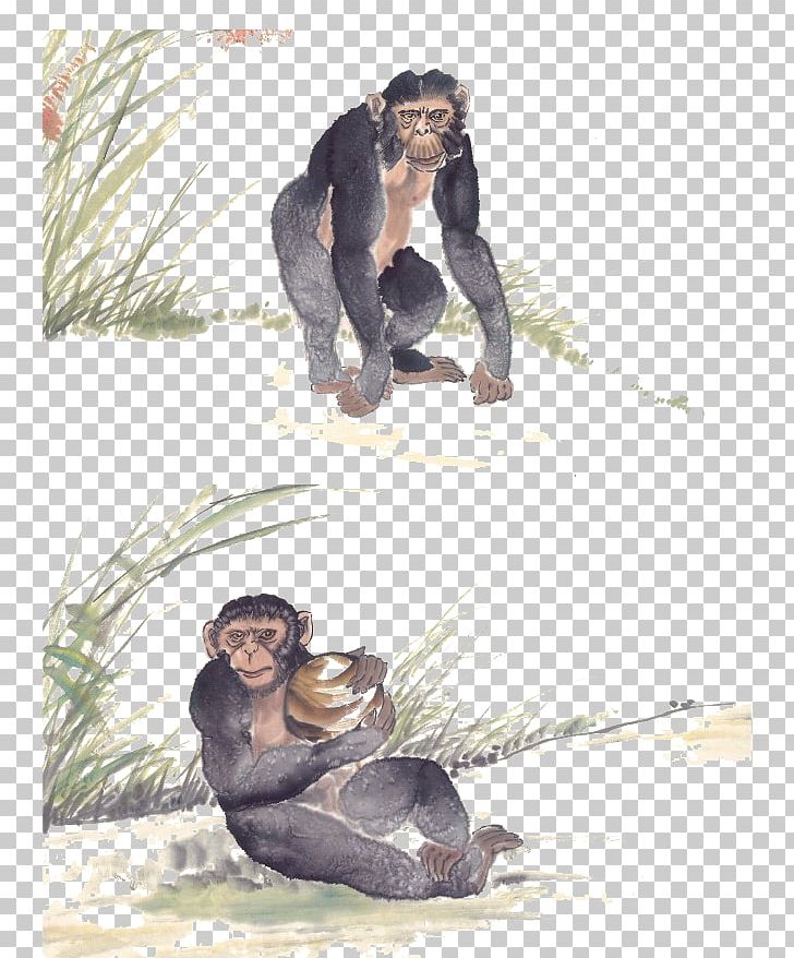 Gorilla Common Chimpanzee Orangutan PNG, Clipart, Animal, Animals, Cartoon, Comics, Common Chimpanzee Free PNG Download