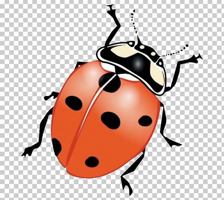 Insect PNG, Clipart, Animal, Beetle, Bug, Clip Art, Computer Icons Free PNG Download
