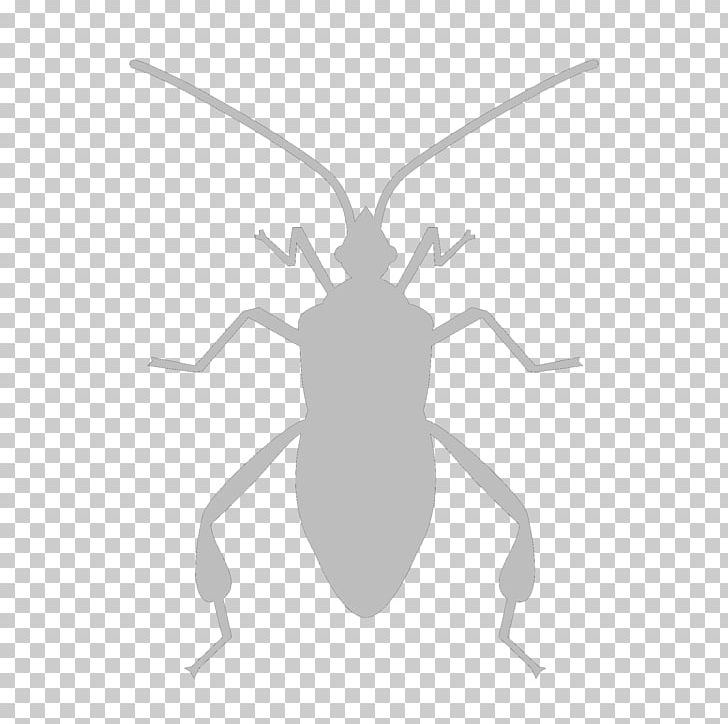 Insect Software Bug Computer Icons PNG, Clipart, Animals, Ant, Arthropod, Black And White, Cockroach Free PNG Download