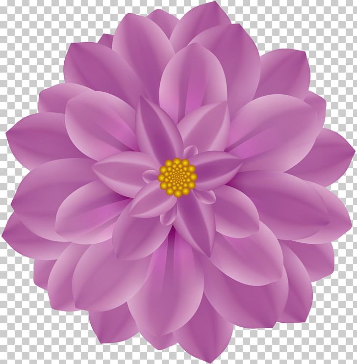 Lilac Flower Violet Drawing PNG, Clipart, Art, Chrysanths, Dahlia, Daisy Family, Drawing Free PNG Download