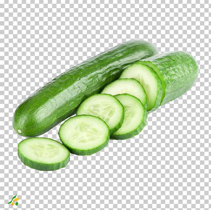 Pickled Cucumber Cucumber Sandwich Vegetable Vegetarian Cuisine PNG, Clipart, Cucumber, Cucumber Gourd And Melon Family, Cucumber Sandwich, Cucumis, Food Free PNG Download