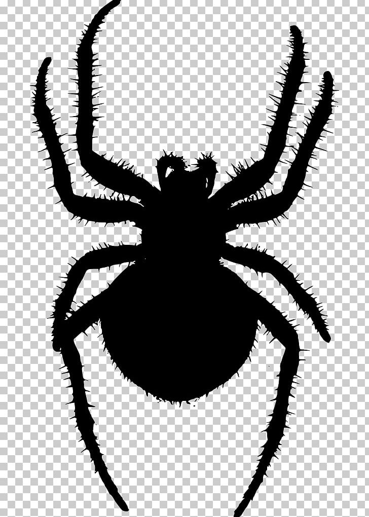 Angulate Orbweavers Spider Golden Silk Orb-weaver PNG, Clipart, Angulate Orbweavers, Arachnid, Araneus, Arthropod, Black And White Free PNG Download
