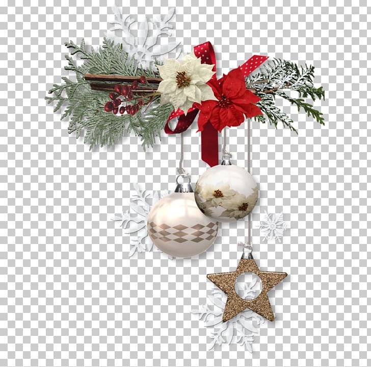 Common Holly Christmas Tree Pine Christmas Ornament PNG, Clipart, Branch, Christmas, Christmas Decoration, Conifer, Conifer Cone Free PNG Download