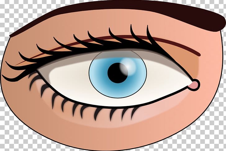 Human Eye Color PNG, Clipart, Cartoon, Cheek, Color, Document, Eye Free PNG Download