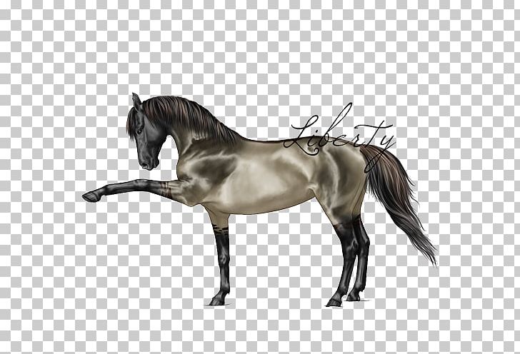 Mane Mustang Stallion Pony Mare PNG, Clipart, Bridle, Development, English Riding, Equestrian, Equestrian Sport Free PNG Download