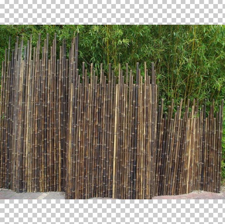 Picket Fence Tropical Woody Bamboos Phyllostachys Nigra Garden PNG, Clipart, Assistive Cane, Bamboo, Bamboo Fence, Fence, Garden Free PNG Download