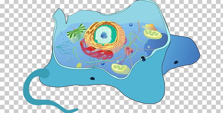 Cell Biology Autophagy Eukaryote Receptor-mediated Endocytosis PNG, Clipart, Autophagy, Biology, Breakthrough, Cell, Cell Biology Free PNG Download