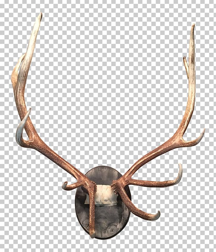 Deer Antler Moose Horn Elk PNG, Clipart, Accommodation, Animal, Animal Product, Animals, Antler Free PNG Download