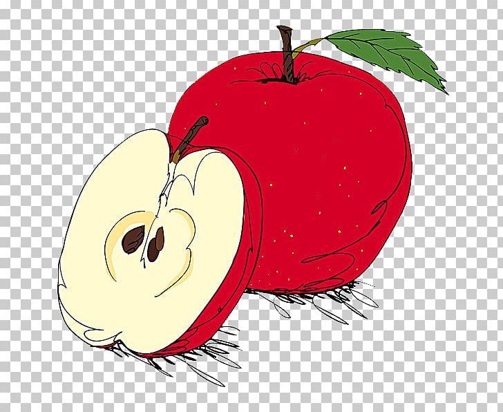 Apple Illustration PNG, Clipart, Apple Fruit, Apple Logo, Art, Cartoon, Encapsulated Postscript Free PNG Download