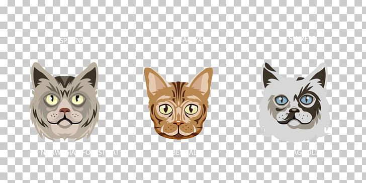 Cat Kitten Avatar PNG, Clipart, Animal, Avatar, Carnivoran, Cat Like Mammal, Encapsulated Postscript Free PNG Download