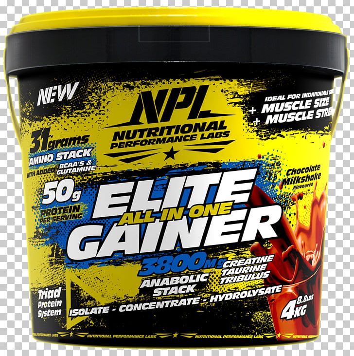 Dietary Supplement Gainer National Premier Leagues Bodybuilding Supplement Milkshake PNG, Clipart, Amino Acid, Bodybuilding Supplement, Branchedchain Amino Acid, Brand, Chocolate Shake Free PNG Download