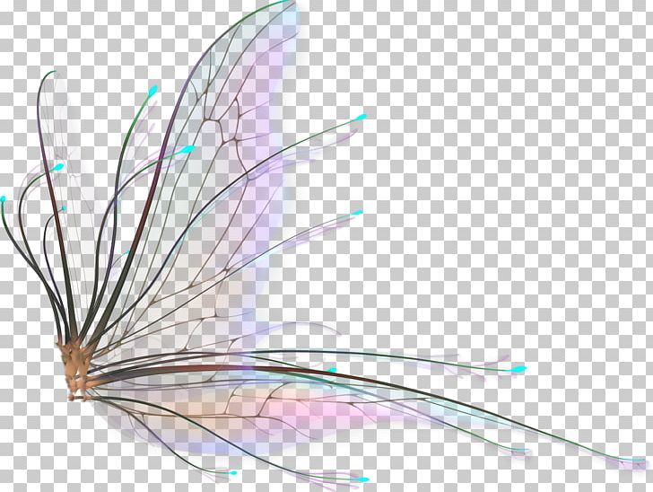 Fairy Wings Drawing PNG, Clipart, Blue Butterfly, Bts, Butterflies, Butterfly, Butterfly Group Free PNG Download