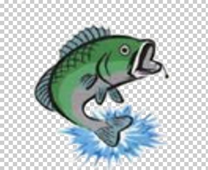 Fishing Rods Artisanal Fishing Fish Hook PNG, Clipart, Amphibian, Angling, Animals, Artisanal Fishing, Cst Free PNG Download