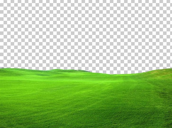 Lawn Green Grassland Sky PNG, Clipart, Baby, Beautiful, Cleaneating, Colorful, Computer Free PNG Download