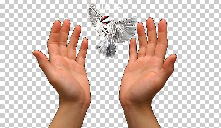 Praying Hands Prayer Love PNG, Clipart, Bless You, Christian Prayer, Desktop Wallpaper, Finger, Gesture Free PNG Download