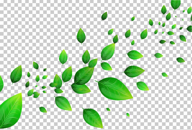 Green Leaf Plant Tree Flower PNG, Clipart, Flower, Green, Leaf, Plant, Tree Free PNG Download