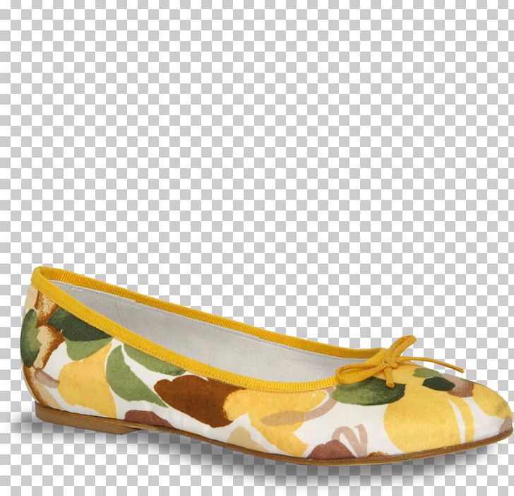 Ballet Flat Shoe PNG, Clipart, Ballet, Ballet Flat, Collezione C, Footwear, Music Free PNG Download