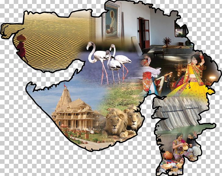 Ahmedabad Gujarati People Gujarat Legislative Assembly Election PNG, Clipart, Ahmedabad, Art, Bharatiya Janata Party, Culture, Gujarat Free PNG Download