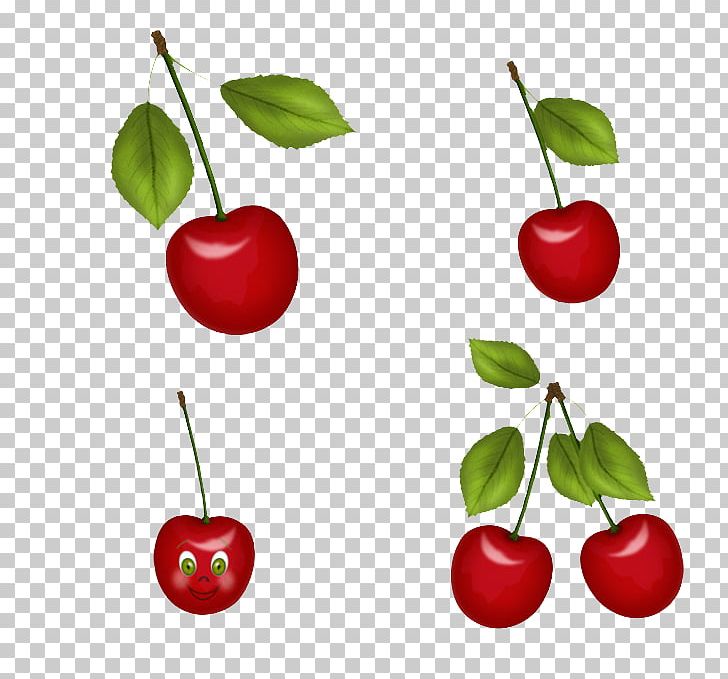 Juice Malpighia Glabra Cherry Apple Auglis PNG, Clipart, Acerola, Acerola Family, Auglis, Branch, Cake Free PNG Download