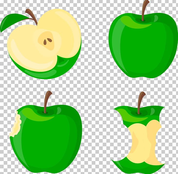 Apple Euclidean PNG, Clipart, Apple Fruit, Apple Logo, Apple Vector, Artwork, Background Green Free PNG Download