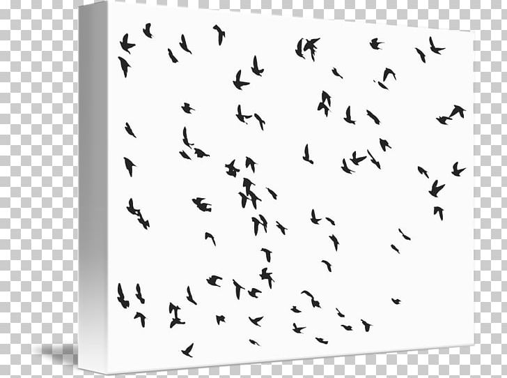 Bird Flock Gulls Flight Common Starling PNG, Clipart, Angle, Animals, Area, Beak, Bird Free PNG Download