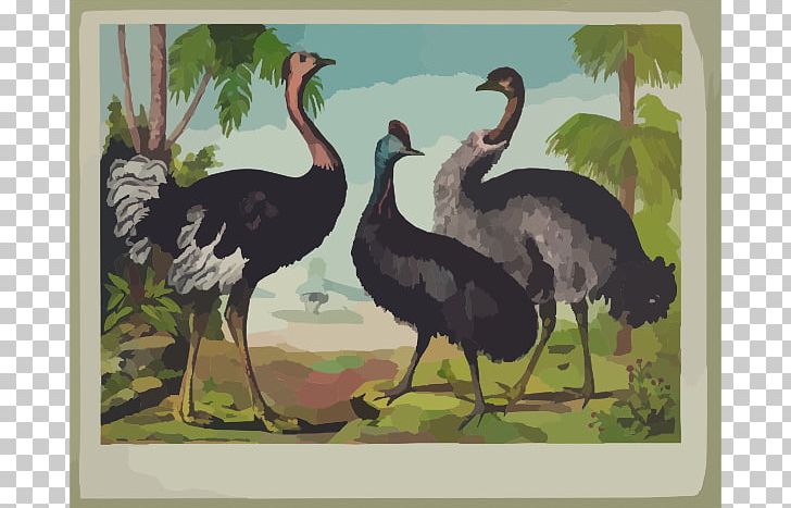 Common Ostrich Bird Canvas Print Oil Painting PNG, Clipart, Art, Artist, Beak, Bird, Canvas Free PNG Download