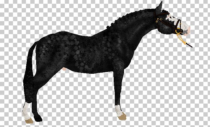 Mane Mustang Rein Stallion Mare PNG, Clipart, Animal Figure, Bridle, Fil, Halter, Harness Racing Free PNG Download