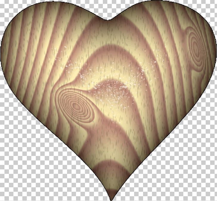 Nautiluses Organism PNG, Clipart, Art, Heart, Nautilida, Organism, Wooden Heart Free PNG Download