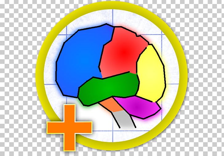 QuizUp King Of Glory Brain Age Learning PNG, Clipart, Area, Ball, Brain Age, Brain Puzzle, Brainstorming Free PNG Download