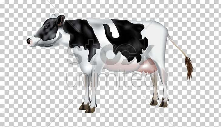 Dairy Cattle Calf Milk PNG, Clipart, Black And White, Bull, Calf, Cattle, Cattle Like Mammal Free PNG Download