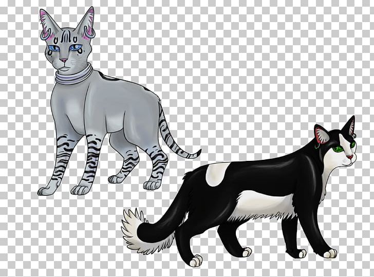 Whiskers Domestic Short-haired Cat Dog Breed PNG, Clipart, Animals, Breed, Canidae, Carnivoran, Cat Free PNG Download